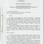 auditor_1