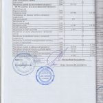 auditor_10