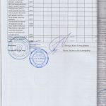 auditor_12