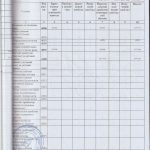 auditor_13