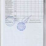 auditor_14
