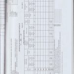 auditor_15