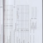 auditor_17