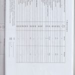 auditor_18