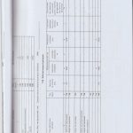 auditor_19
