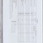 auditor_20