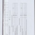 auditor_21