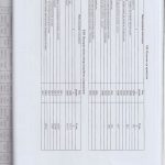 auditor_22