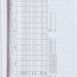 auditor_23
