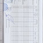 auditor_24