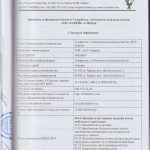 auditor_25