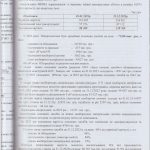 auditor_31