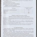 auditor_41