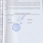 auditor_43