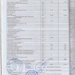 auditor_6