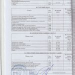auditor_8