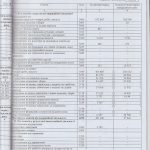 auditor_9