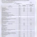 ДТС-звіт-2024 - 0005