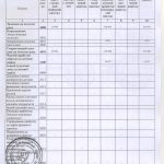 ДТС-звіт-2024 - 0011