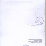 ДТС-звіт-2024 - 0046