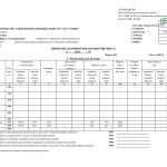 S0105009 Ф5. Примітки до річної звітності - 0001
