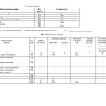 S0105009 Ф5. Примітки до річної звітності186274 - 0005